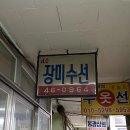 장미수선 이미지