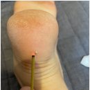 365평화한의원 이미지