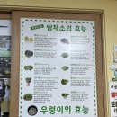 시골생삼겹우렁쌈밥 | (오창쌈밥맛집) 엄마 밥이 그리울 때 방문하는 ‘ 시골 생삼겹&amp;우렁쌈밥 ‘