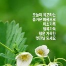상평 이미지