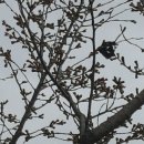 홍지농장 이미지