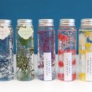 [10/10] 프리저브드 플라워 하바리움 - 원데이 클래스 이미지