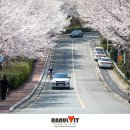 삼포가는길 이미지