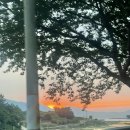 남해 돈섬 이미지