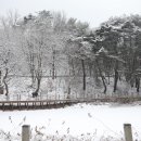 숲;79펜션 이미지