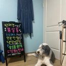 뭉살롱 이미지