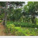 에코바른정형외과의원 이미지