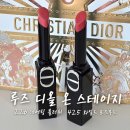 레이디올 | [디올] 루즈 디올 온 스테이지 226데어링 블러쉬 425와일드 로즈우드 후기