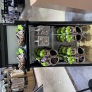 고스트버스터즈 vm 이미지