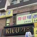 RICO 가츠 이미지