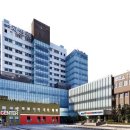 야탑동 351 (분당차병원) 이미지