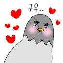 칸구매대행