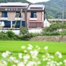 원색명화마을 이미지