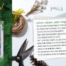 땡스뮤직 이미지