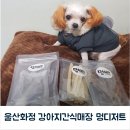 멍디저트 이미지