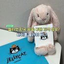 버니 | 젤리캣 한국 공홈 구매 가격 바쉬풀 버니M 후기