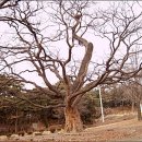 세상살이 이미지