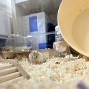 양덕동물병원 이미지