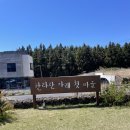 희양산마을영농조합법인 | [제주 서귀포] 한라산아래첫마을영농조합법인 | 제주메밀비비작작면 | 내돈내산 맛집