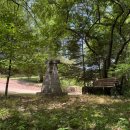 지구 | 🏕️[횡성자연휴양림] 오토캠핑장 E지구 솔직 후기