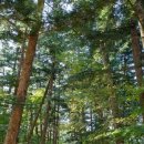 9월19일(토)변산반도, 자연이 빚은 보물 부안여행/마감 이미지