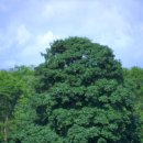 마음의 고향 이미지