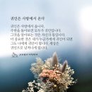 귀인 네이버블로그