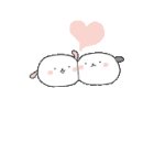 코코세탁 이미지