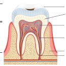 조재민치과의원 이미지