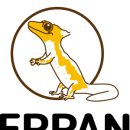 와우펫앤쥬 대구점 이미지