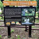 덕천교_상 | 진안 마이산. 은천마을을 들머리로 나도산, 탑사, 암마이봉으로 산행 후 능선 조망하며 나봉암과 고금당...