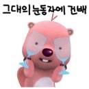 유럽 포르투갈 포르투 리스본 신혼여행 후기