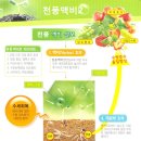 천풍농장 이미지