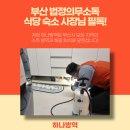 부산고등법원 집단급식소 | 부산 법정의무소독 식당 숙소 사장님 필독!