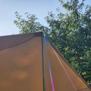 황포횟집 | 황포해수욕장 캠핑, 이젠 못 갈 것 같아요