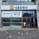 원 반려동물 미용실 | [살롱드멍냥] 경산 강아지미용 고양이미용반려동물미용실 추천 살롱드멍냥 내돈내산 리얼 방문 후기