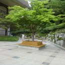 부산문화회관 이미지