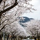 태안사 야영장 이미지