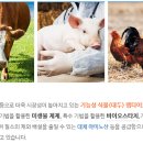 진바이오텍 이미지