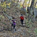 간동면사무소 이미지