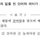 최GO국어