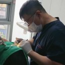 새롬치과의원 이미지