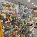 아무도 없개 이미지