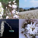 정진영농조합법인 이미지