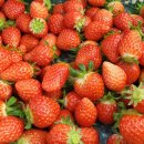 재인 농장 이미지