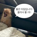 P;ㅜ