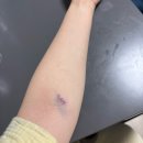 성북성심의원 이미지