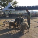 함열 농장 이미지