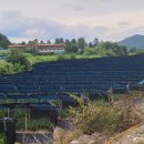 서화초 서성분교장 이미지