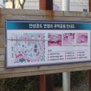 만정리유적공원 네이버블로그